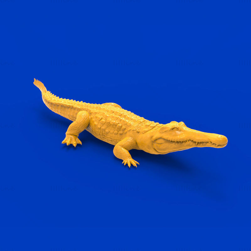 Felle krokodil 3D-afdrukmodel