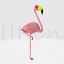 Flamingo Bird Animal 3D Printing Model