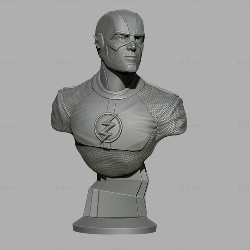 Flash Bust 3D Printing Model STL