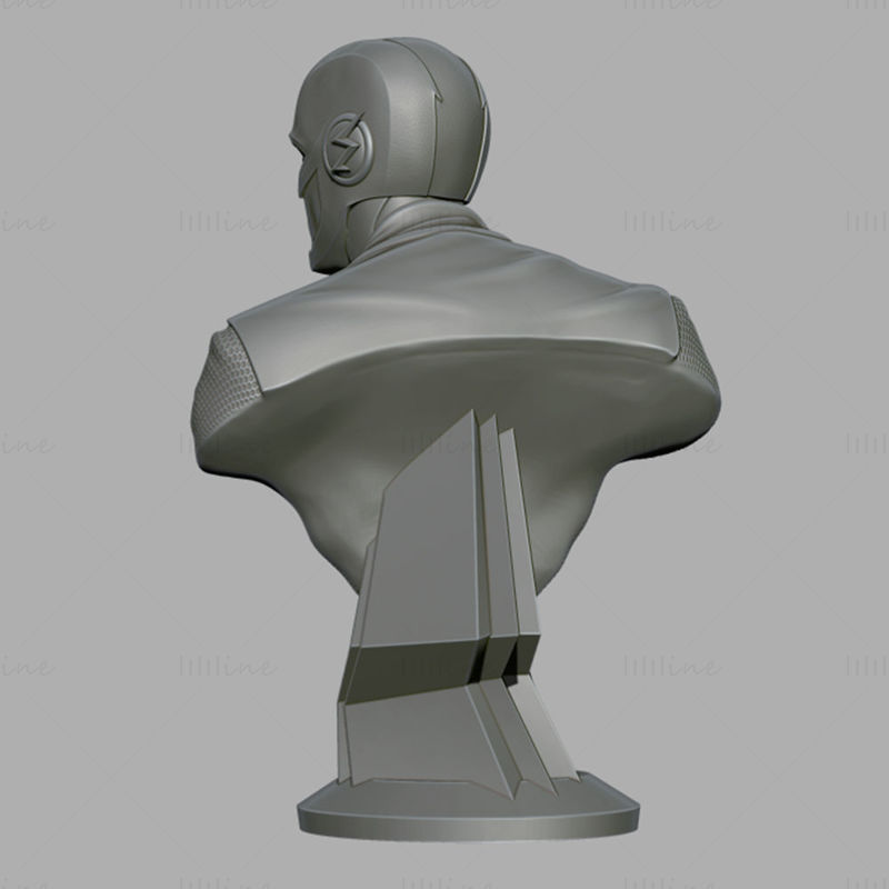 Flash Bust 3D Printing Model STL