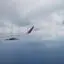 Flight Journey photo