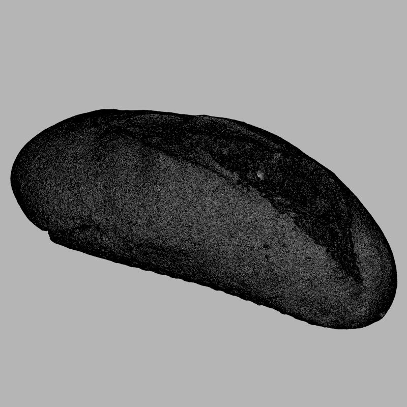 french-bread-3d-model