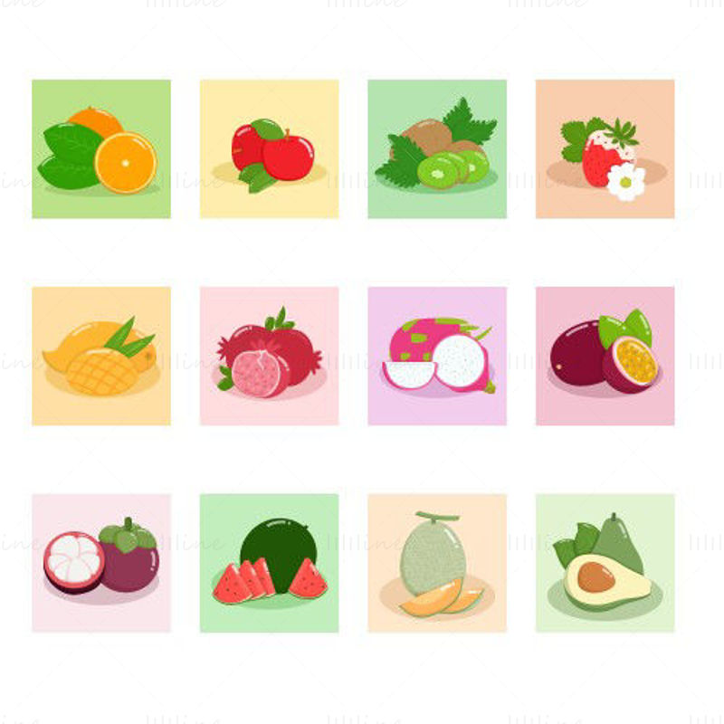 Fruit vector illustration