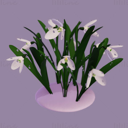 Galanthus flower 3d model