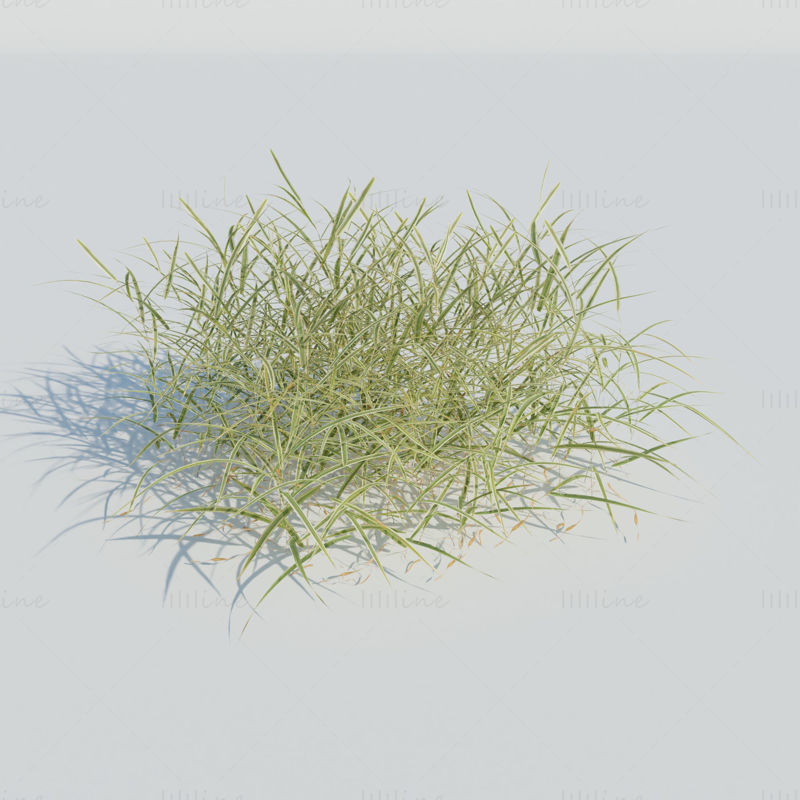 نموذج ثلاثي الأبعاد لعشب البستاني