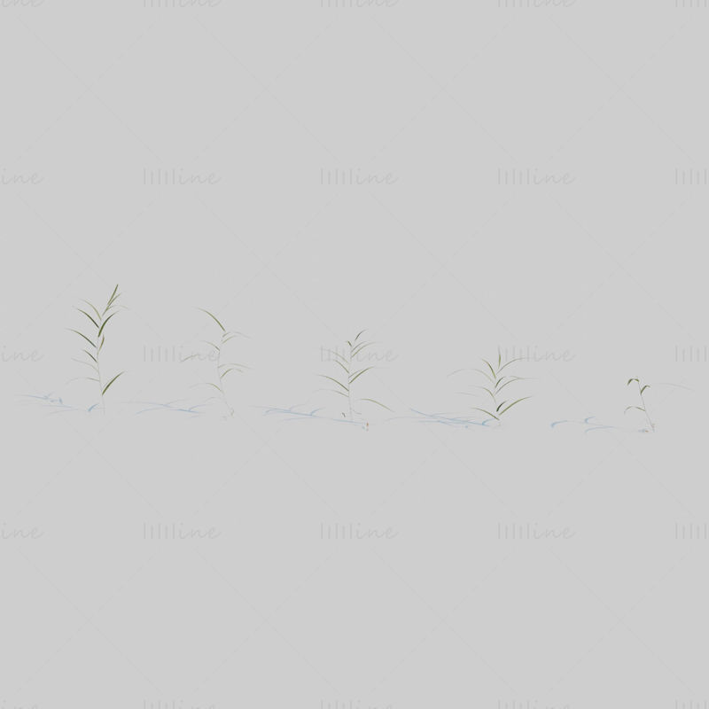 Modello 3D dell'erba giarrettiera del giardiniere