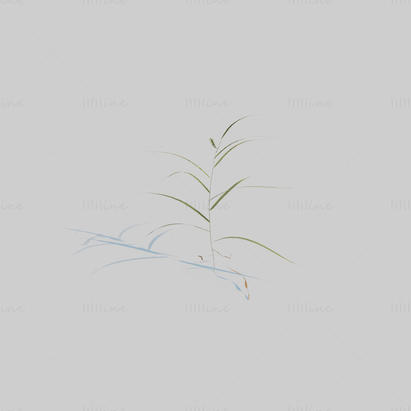 Подвязочная трава садовника 3D модель