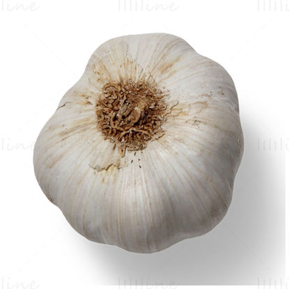 Garlic png