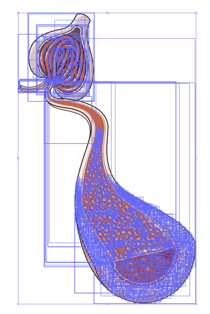 Vector de arteria aferente glomerular