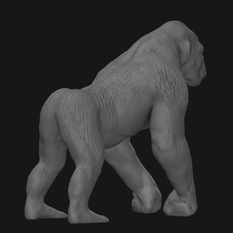 Gorilla 3d printing model