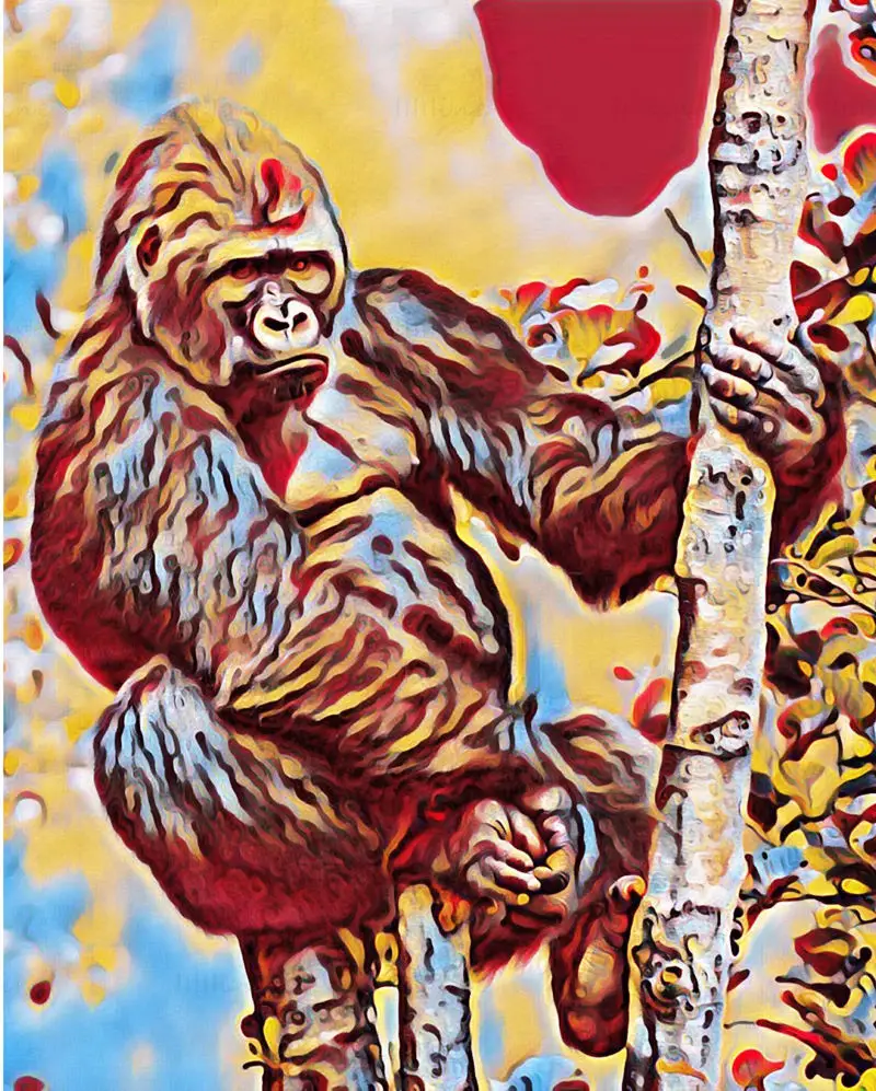 大猩猩艺术画（PNG格式）