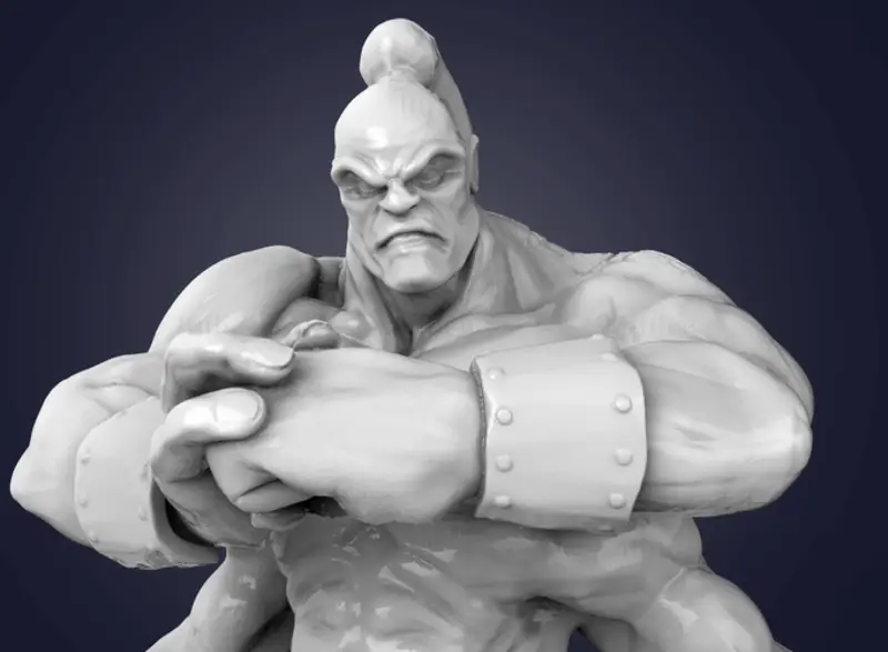 Goro 3D Print Model (FDM, SLS)