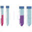 Graduated test tube vector