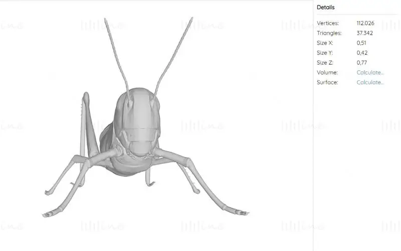 Grasshopper Animal 3D-utskriftsmodell