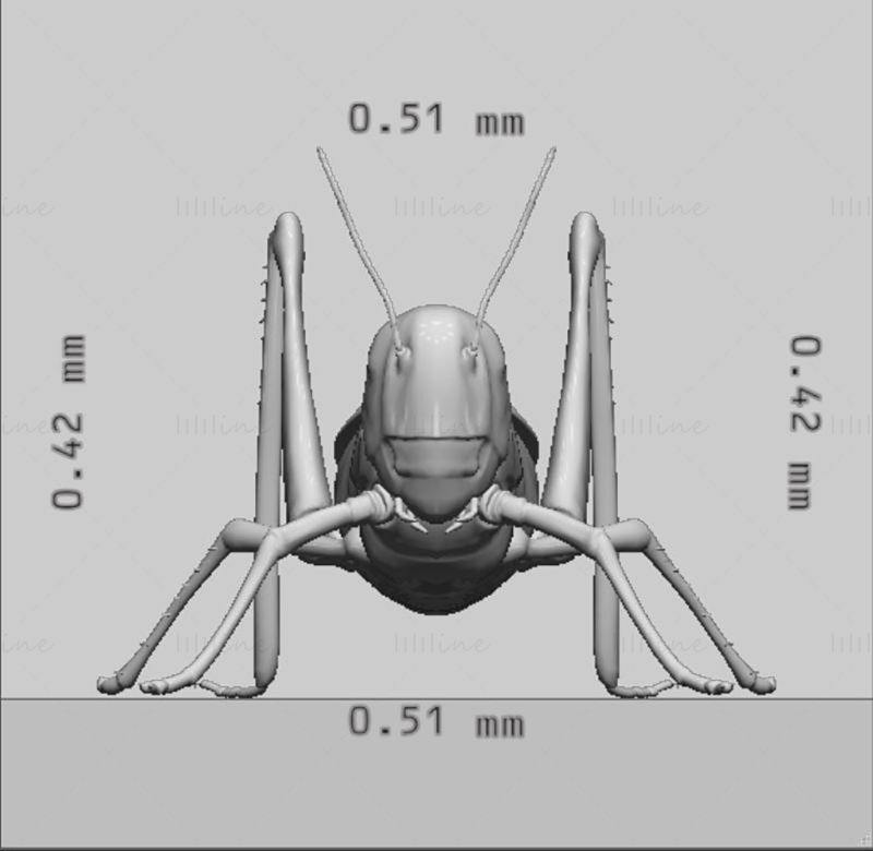 3D-Druckmodell eines Heuschreckeninsekts