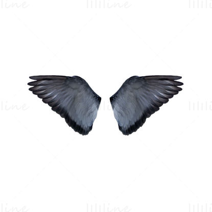 灰色鸟翅膀透明png