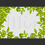 Green leaf photo frame png