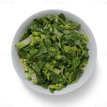 Green salad png