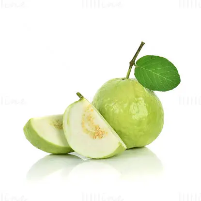 Obraz guava Fruit HD