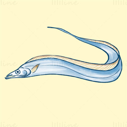 Hairtail illustration