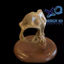HALLOWEEN MASK WITH SKULL bird 3d print model