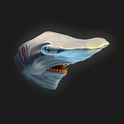 Çekiç kafalı köpekbalığı maskesi 3d baskı modeli STL