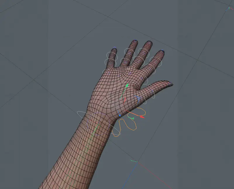 Hand 3D Modell mit Bindung