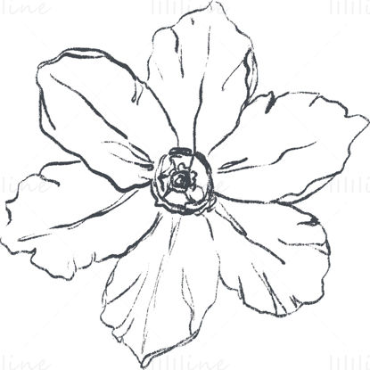 Hand drawn flowers pencil sketch png