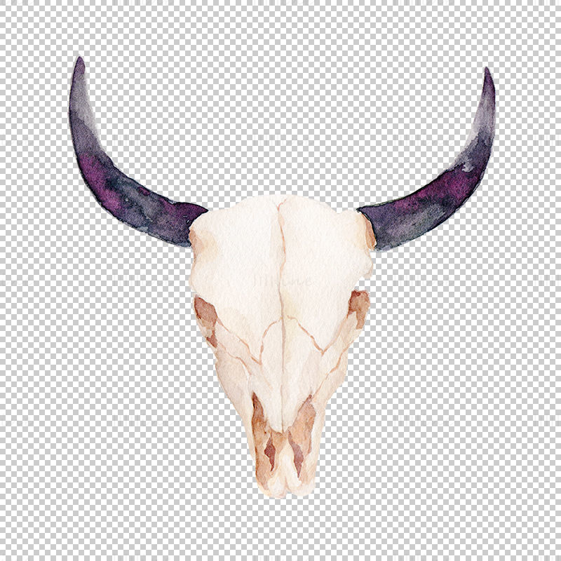 Crâne de taureau peint à la main png