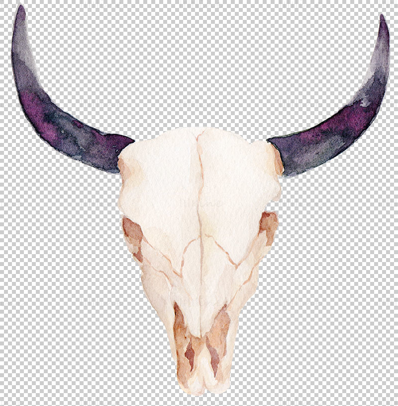 Crâne de taureau peint à la main png
