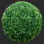 Handpainted Ground Grass Seamless Texture PNG