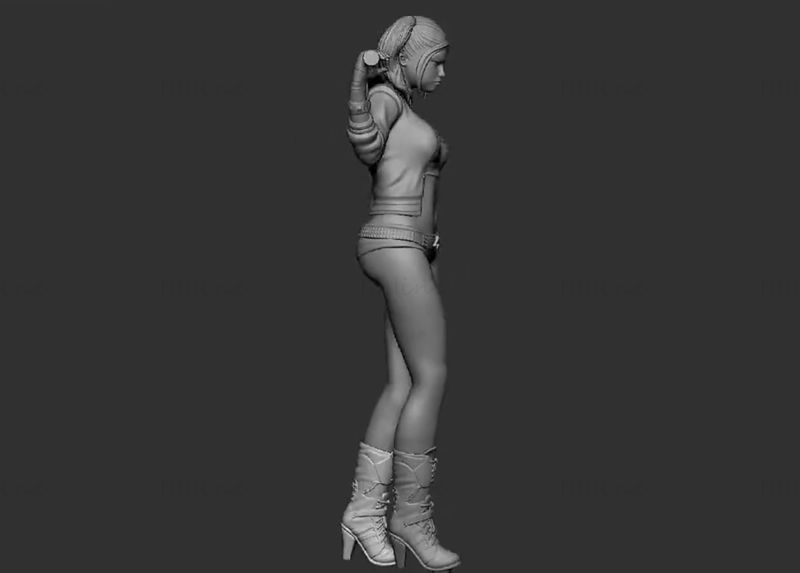 Harley Quinn - Birds Of Prey 3D Printing Model STL