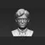 Harry Potter Bust 3D Printing Model STL