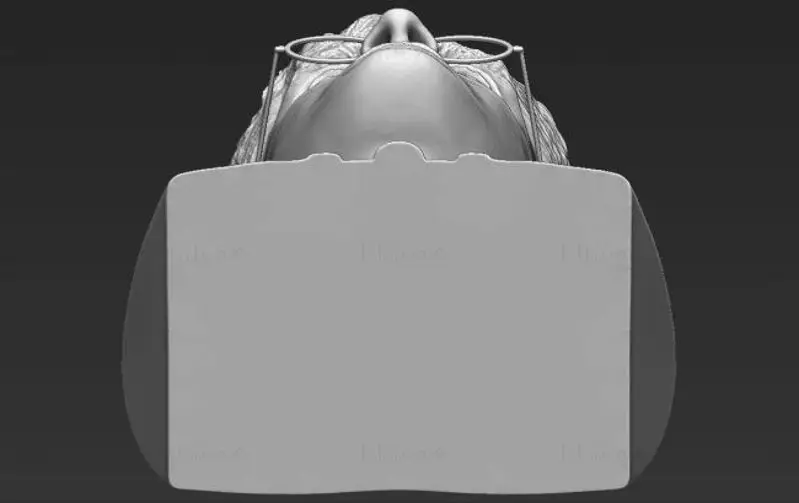 Buste de Harry Potter Modèle d'impression 3D STL