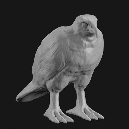 Hawk 3D-printmodel STL