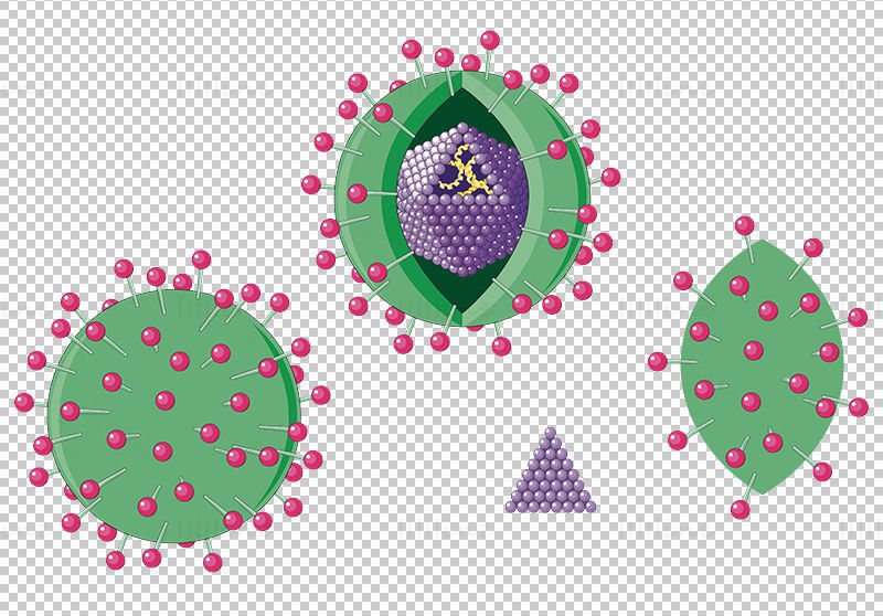 Hepatitis virus vector wetenschappelijke illustratie