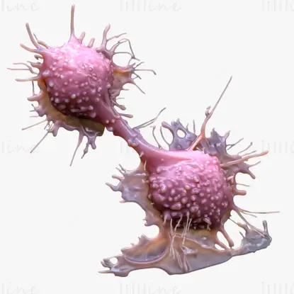 Hochpräzises 3D-Modell eines Krebszelltumors