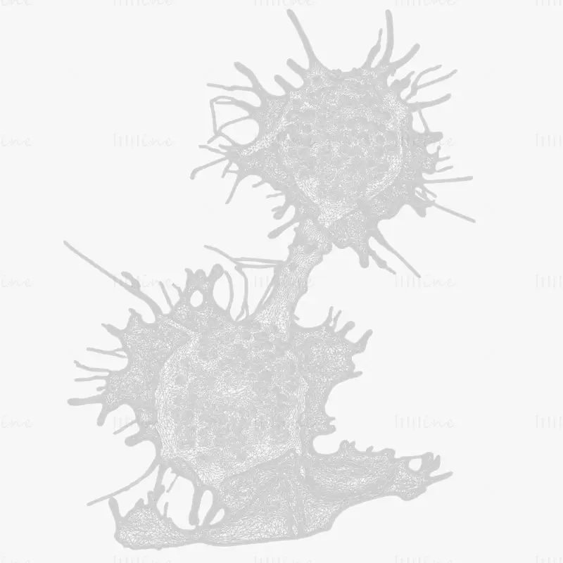 High Fidelity Cancer Cell Tumor 3D Model