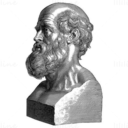 Hippocrates Portrait line art png