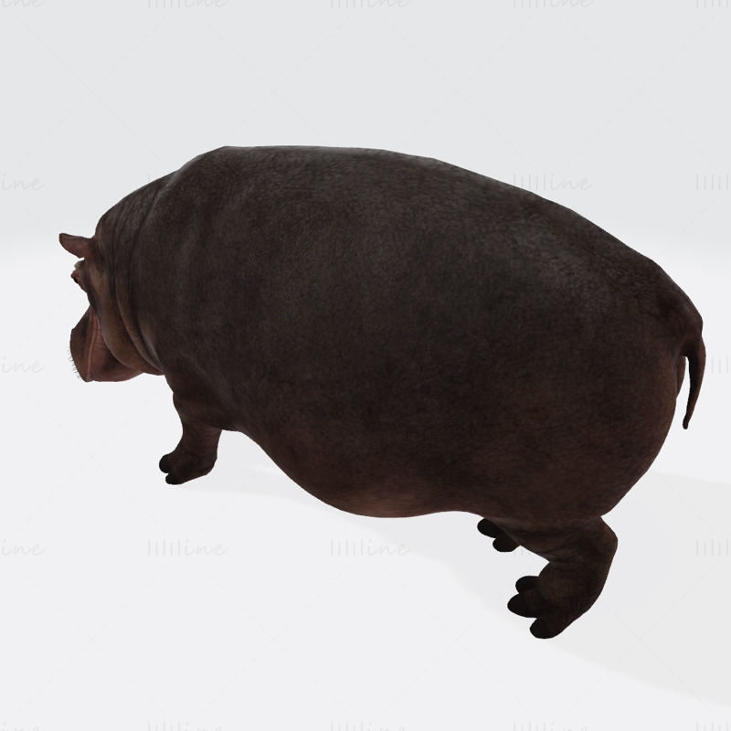 Hippopotamus Animal 3D Print Model