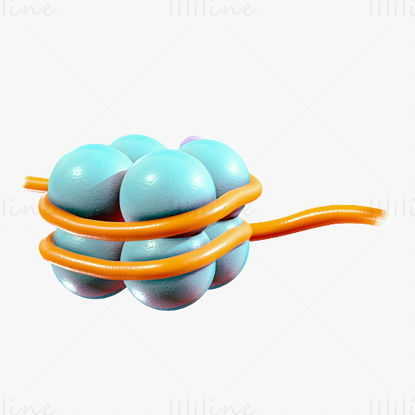 Histone Structure 3D Model