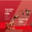 Historical Events Display Design PS Template