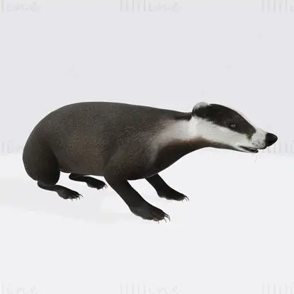 Honey Badger Animal Sculpture 3D Print Model