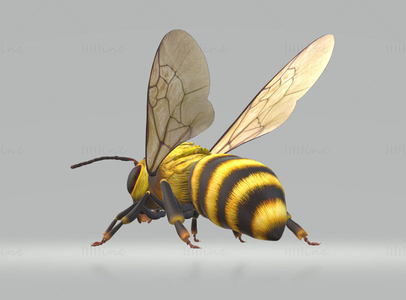 Modelo 3D Hornet Bee pronto para imprimir