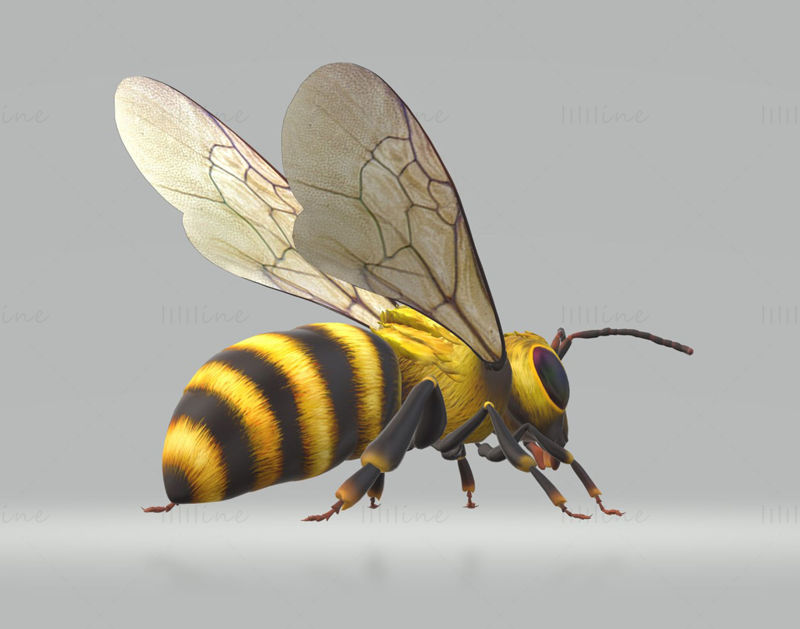 Modelo 3D Hornet Bee pronto para imprimir