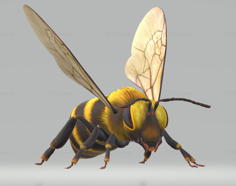 Hornet Bee 3D Modeli Yazdırmaya Hazır