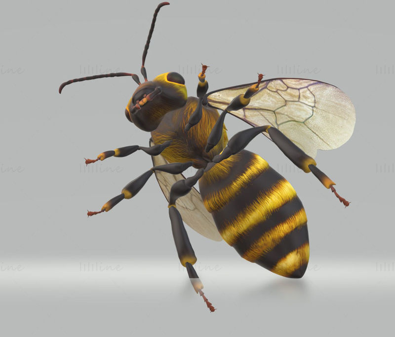 Hornet Bee 3D Modeli Yazdırmaya Hazır