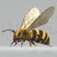 3D model Hornet Bee, pripravljen za tiskanje