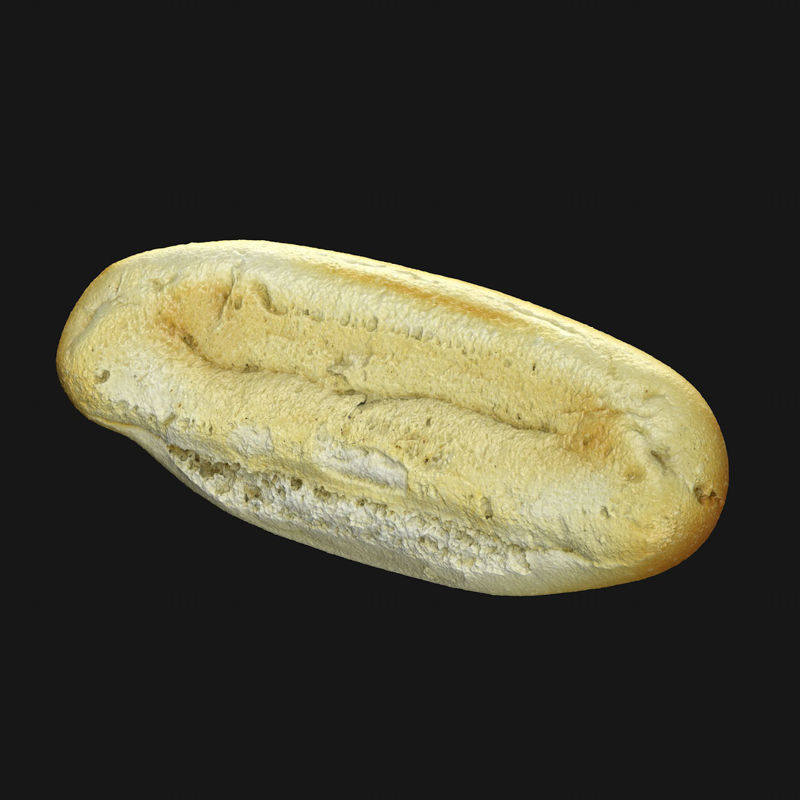 Hotdog bread 3d model