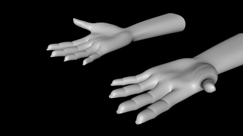 人体手臂和手（左和右）3d模型